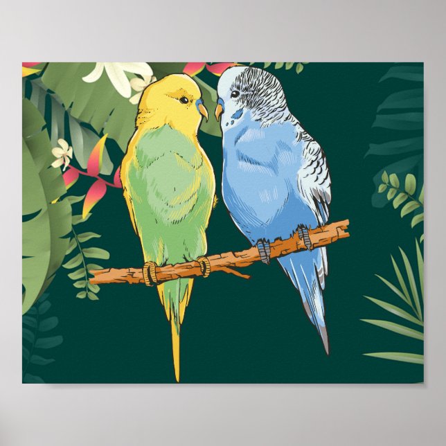 Poster Two cute bleu et green Budgies (Devant)