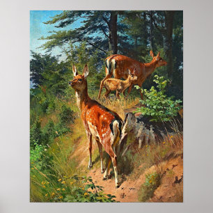 Poster Two Deer And Cute Fawn In The Forest