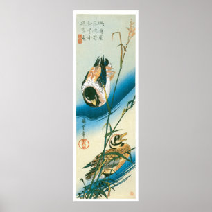 Poster Two Ducks Swimming Among Reeds