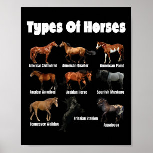Poster Types De Chevaux Chevaux Rétro Se Reproduisent Vin