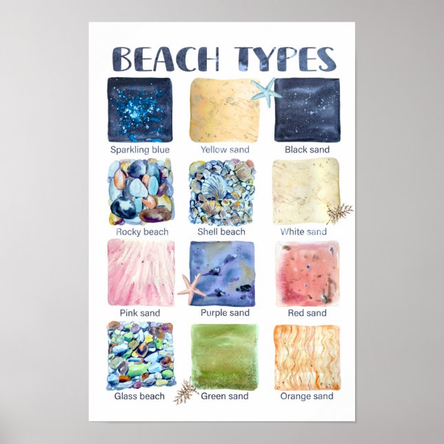 Poster Types de plages Éducatif  (Devant)
