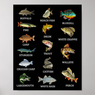 Poster Types d'espèces de poissons d'eau douce Pêche Pêch