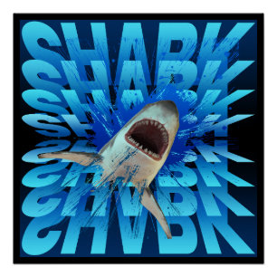 Poster typographie de l'effet de texte requin