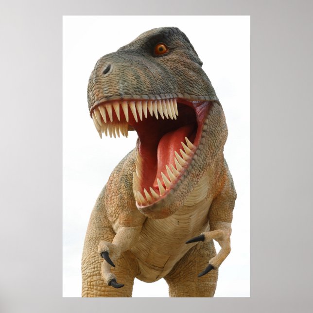 Poster Tyrannosaurus Rex (Devant)