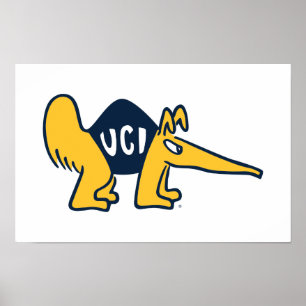 Poster UC Irvine Anteaters UCI