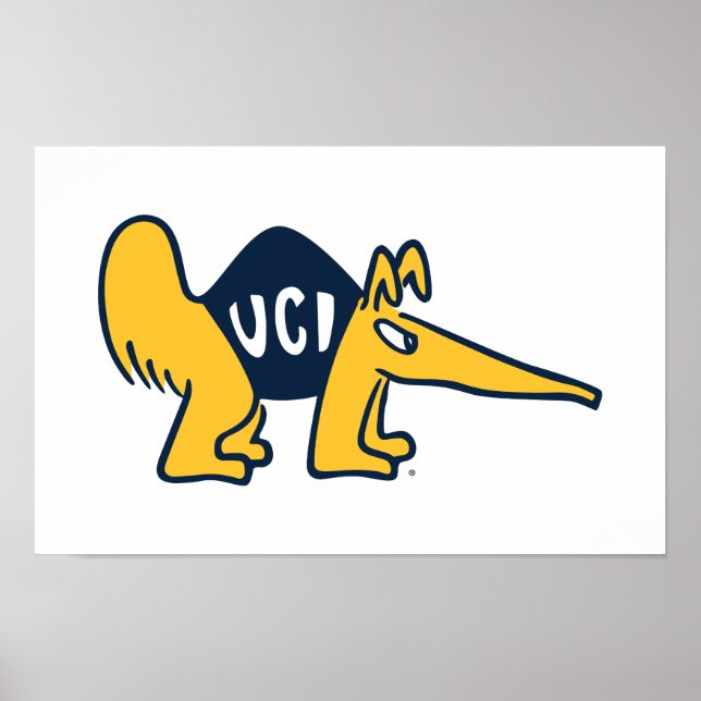 Poster UC Irvine | Anteaters UCI (Devant)