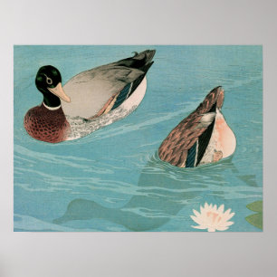 Poster Ukiyoe [Goyo] Canards (S)