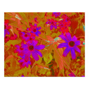 Poster Ultra violet, magenta et Fleurs sauvages rouges co