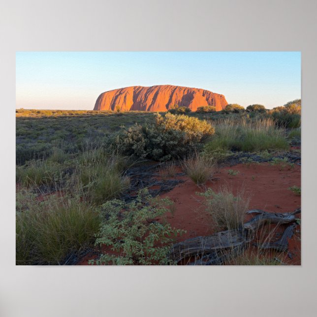 Poster Uluru Sunrise et Flore du désert (Devant)