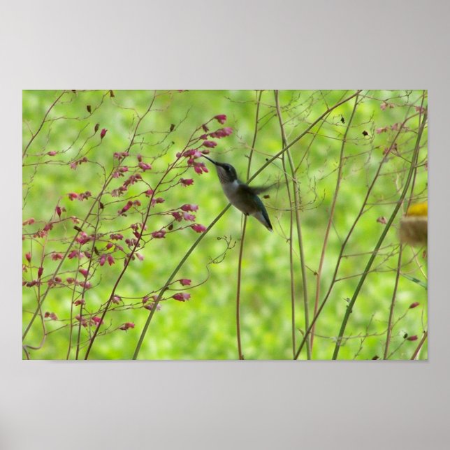 Poster Un ami d'été (Devant)