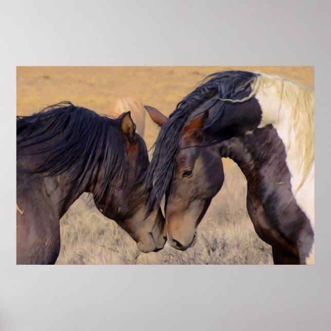 Poster Un amour des chevaux (Devant)