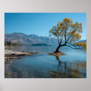 Poster Un arbre dans un lac