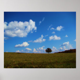 Poster Un arbre solitaire