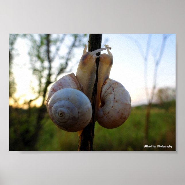 Poster Un baiser lent et doux (Devant)