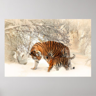 Poster Un beau tigre et un petit dans la neige