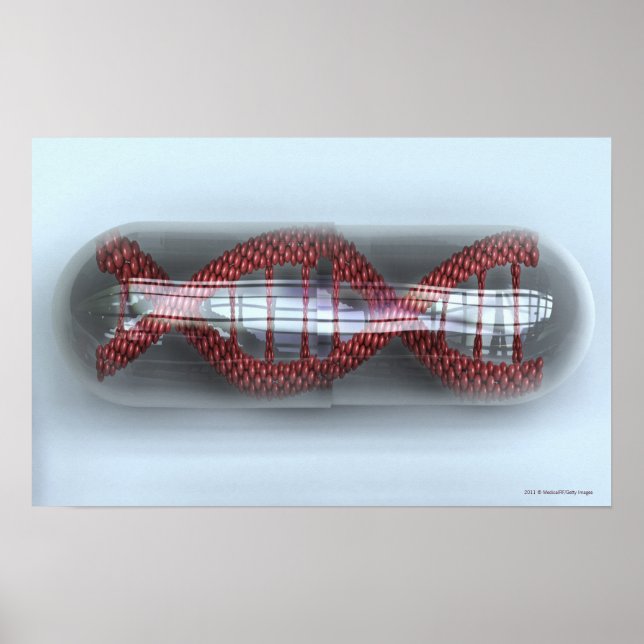 Poster Un brin d'ADN dans une capsule (Devant)