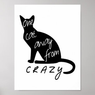Poster Un chat loin de CRAZY