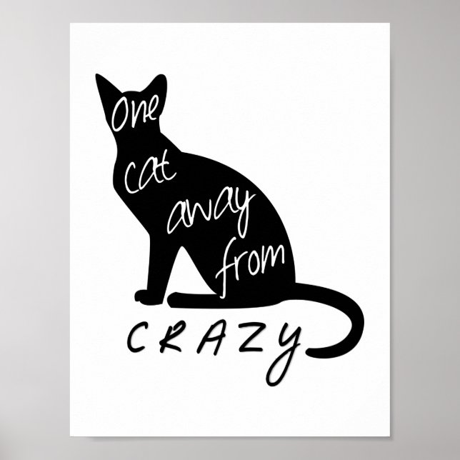 Poster Un chat loin de CRAZY (Devant)