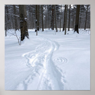 Poster Un chemin sinueux à travers le silence d'un paysag