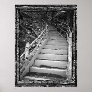 Poster Un chemin sombre