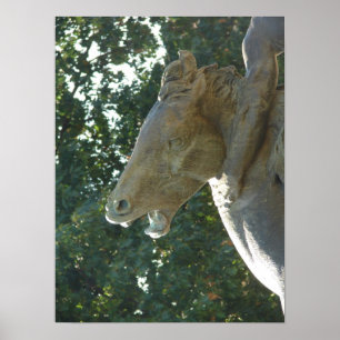 Poster Un Cheval Fontaine Plaza