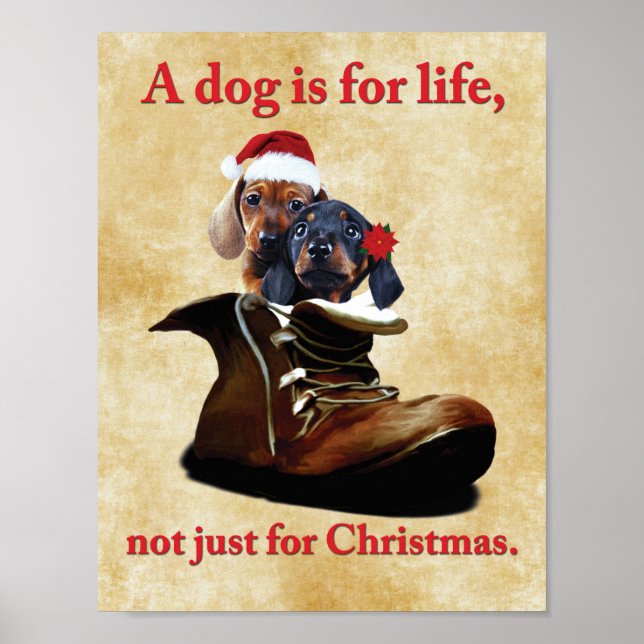 Poster "Un chien est pour la vie, pas seulement pour Noël (Devant)