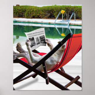 Poster Un chien lit un journal au bord de la piscine
