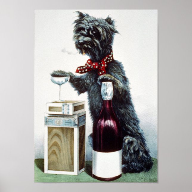 Poster Un chien méchant (Devant)