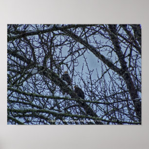 Poster Un compagnon pour l'hiver