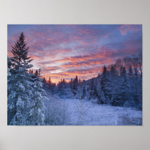Poster Un coucher de soleil vif peint le ciel au-dessus d