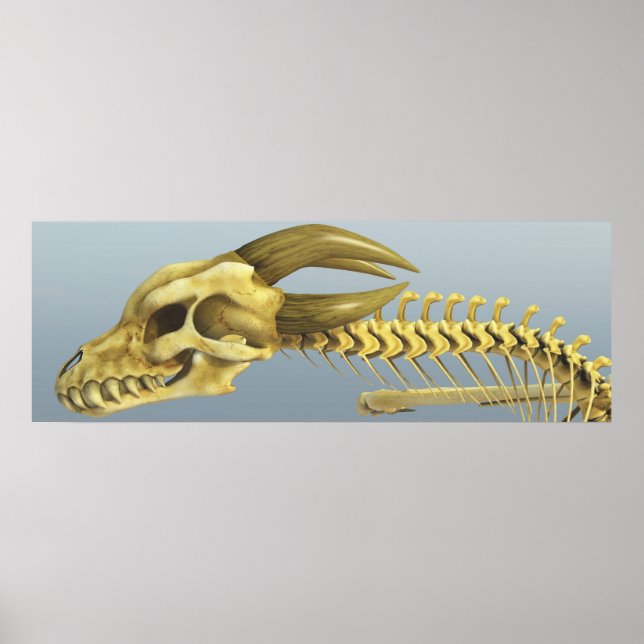 Poster Un Dragon (Devant)