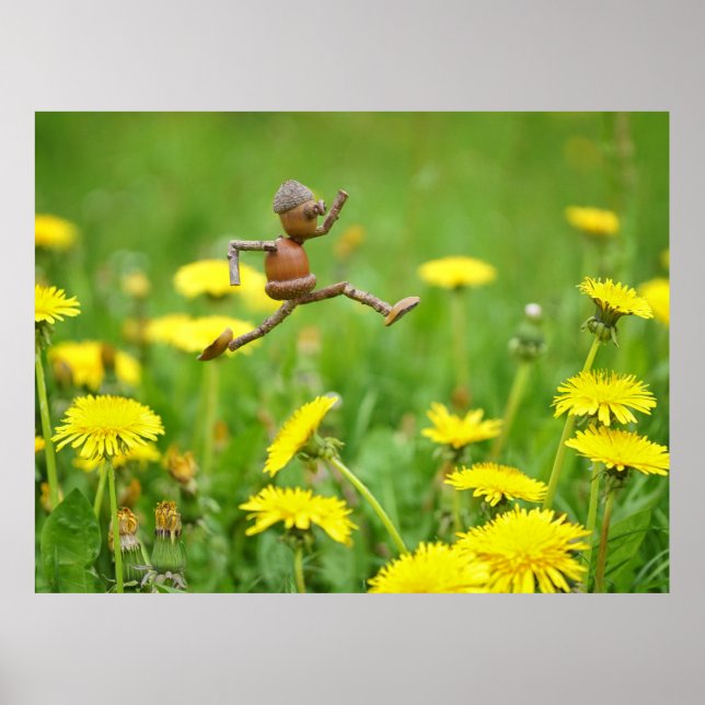Poster Un elfe d'maïs sautant sur des pissenlits sur le p (Devant)