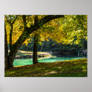 Poster Un Endroit Sous L'Ombre