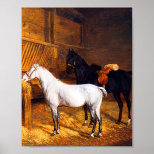 Poster Un Gris et un cheval noir dans un Stable