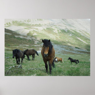 POSTER UN GROUPE DE CHEVAUX SUR UNE PÂTE DE MONTAGNE