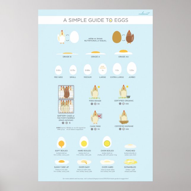 Poster Un guide simple (visuel) des oeufs (Devant)