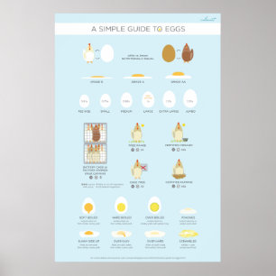 Poster Un guide (visuel) simple des oeufs