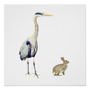 Poster Un héron bleu et un lapin