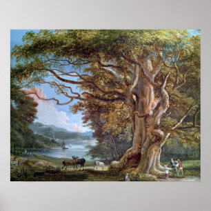 Poster Un hêtre ancien, 1794 (huile sur toile)