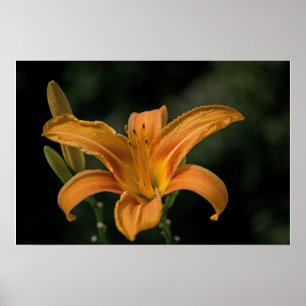 Poster Un jardin enchanteur Imprimer