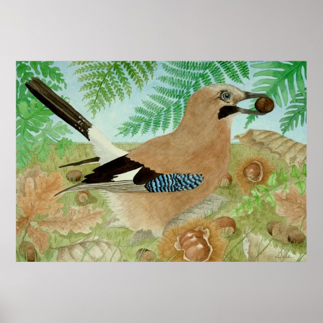 Poster Un Jay à l'automne (Devant)