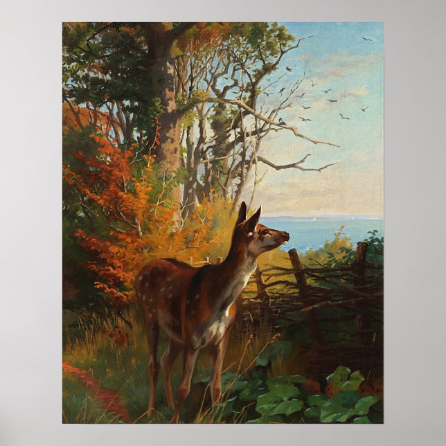 Poster Un Joli Cerf En Forêt (Devant)