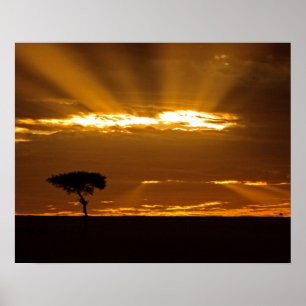 Poster Un lever de soleil bouche ouverte dans le Maasai M