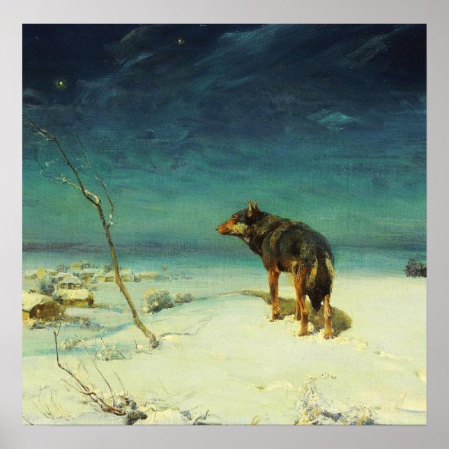 Poster Un loup solitaire Samotny Wilk (Devant)