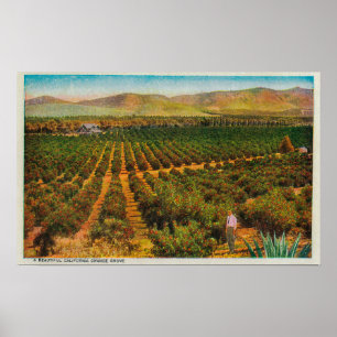 Poster Un magnifique état de la GroveOrange