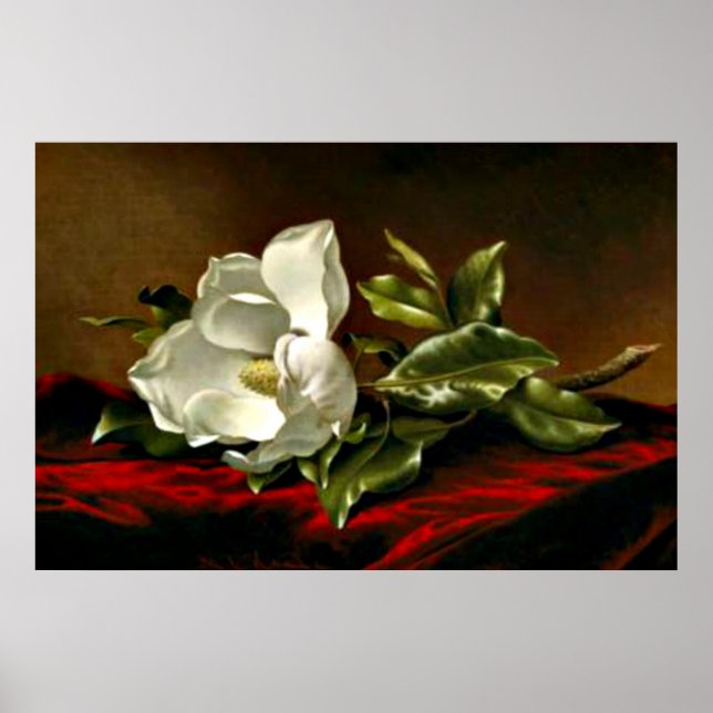 Poster Un Magnolia sur Red Velvet (Devant)