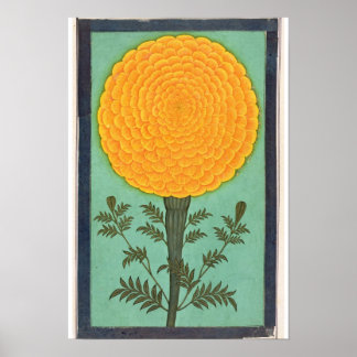 Poster Un Marigold, du Petit Album Clive