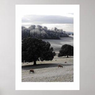 Poster Un matin glacé