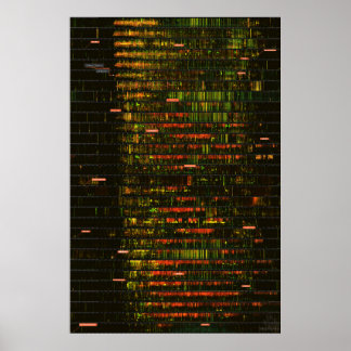 Poster Un mois de sons de Yellowstone