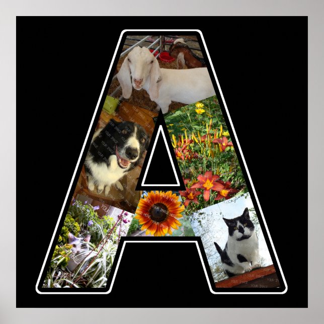 Poster Un Monogramme Créez Votre Propre Collage De 6 Phot (Devant)